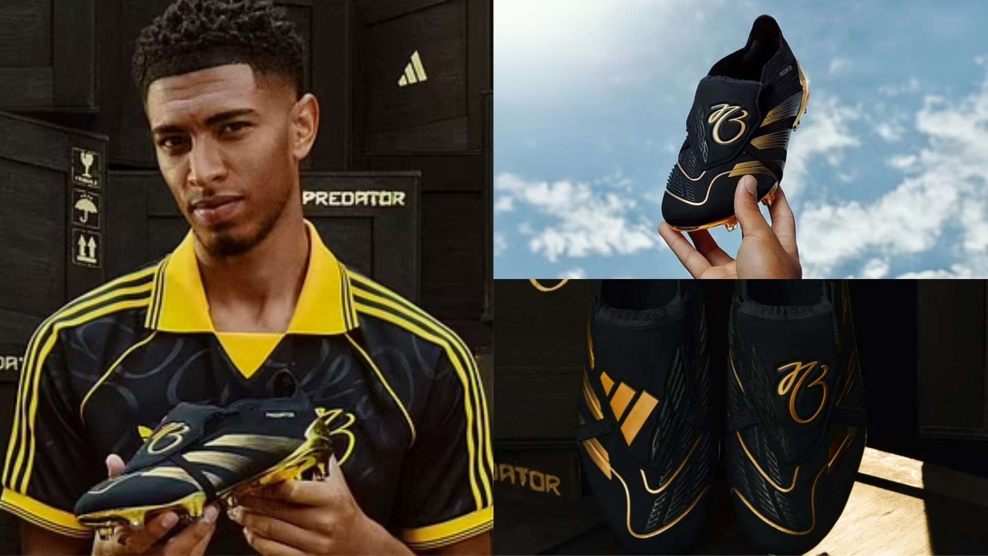 科学的训练 科学的训练